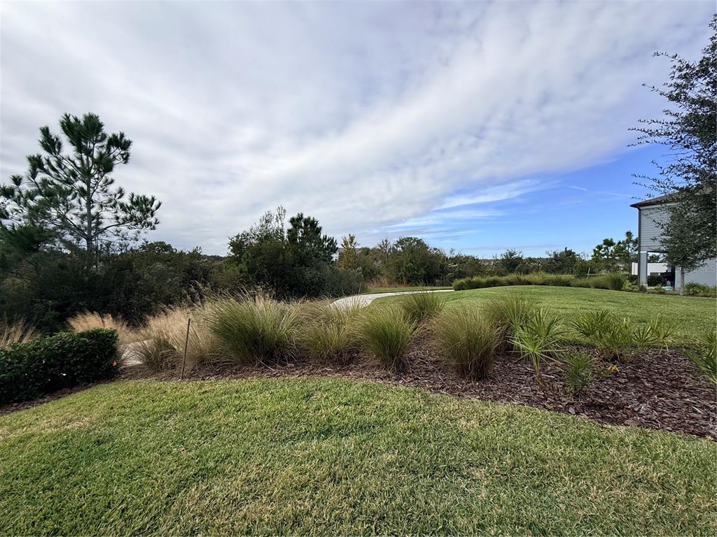 5443 Elmview Crossing Wesley Chapel, FL 33545 - Photo 5 of 41 a view of a lake from a yard