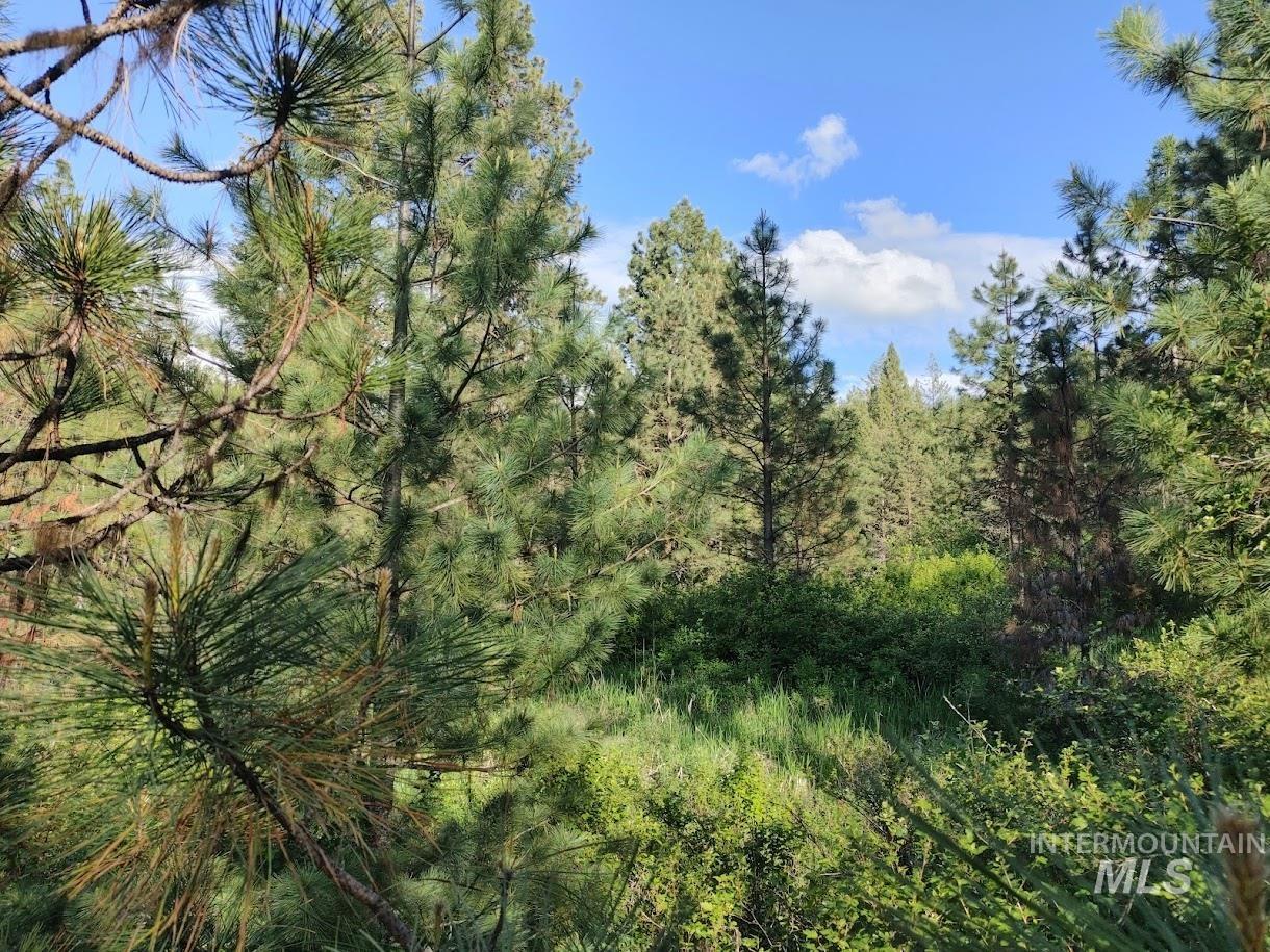 Tbd Wallen Road Moscow, ID 83843 - Photo 15 of 20 Gallery Image 15