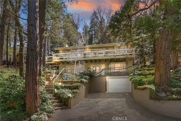 a view of a patio with plants and trees