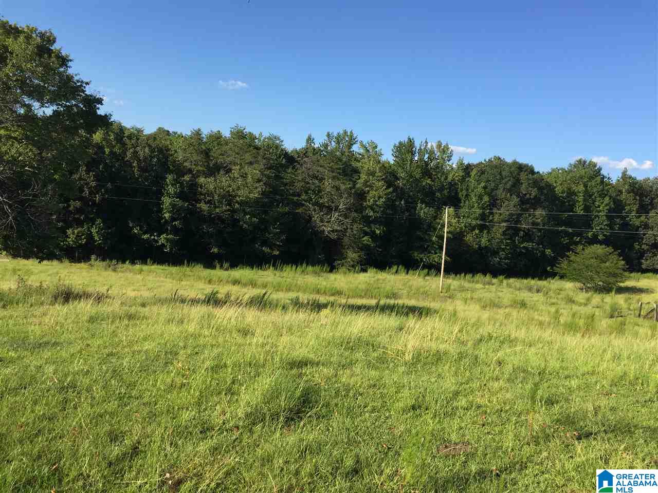 0 Valley Creek Road Piedmont, AL 36272 - Photo 15 of 28