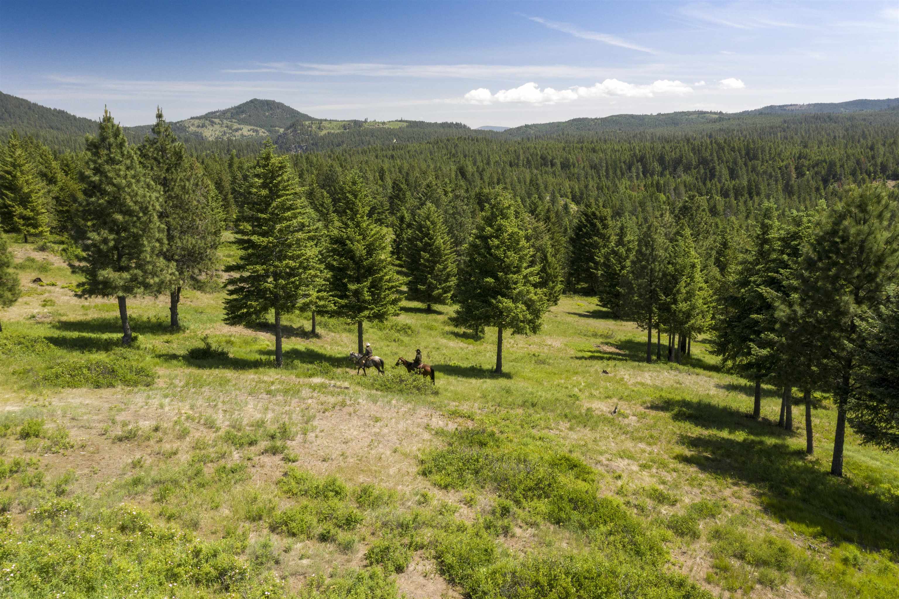 Nna Nna Undisclosed Address Elk, WA 99009 - Photo 8 of 11