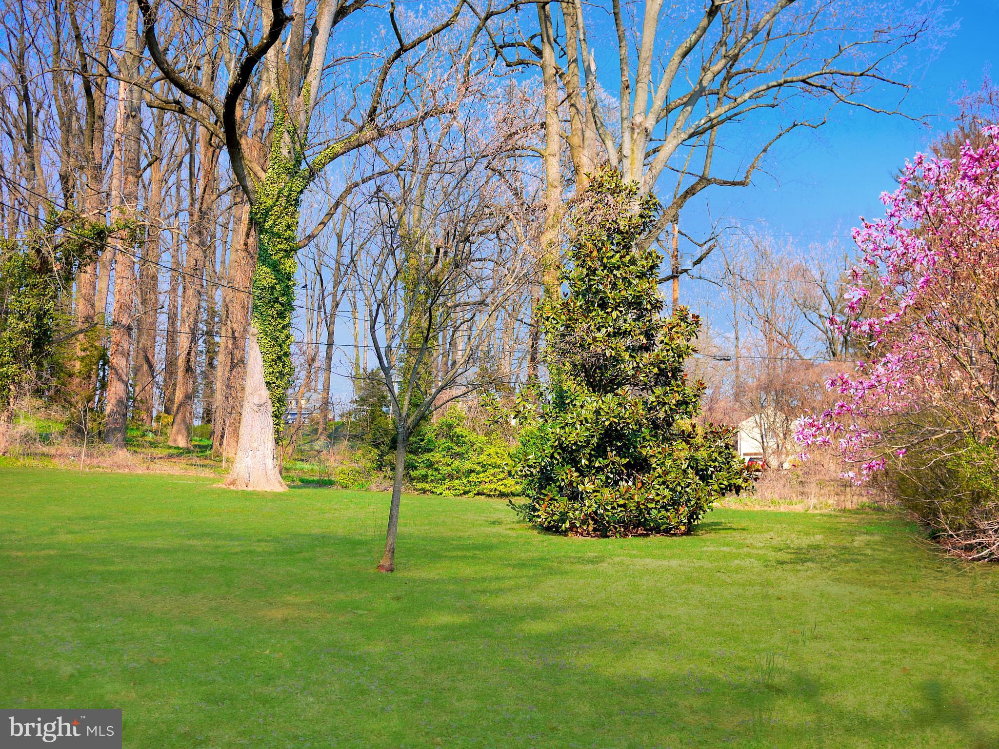 9 Dutton Avenue Baltimore, MD 21228 - Photo 25 of 30 Expansive backyard private wooded feel