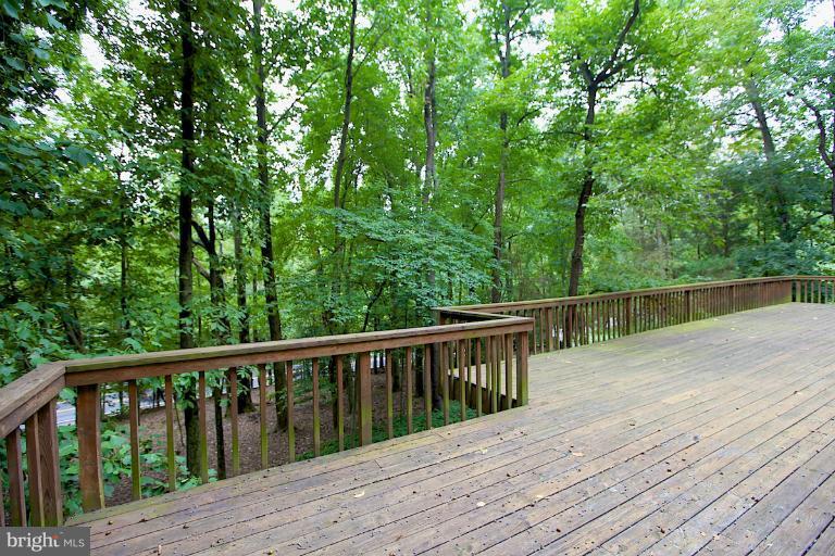 8808 Brook Road McLean, VA 22102 - Photo 12 of 29 Exterior (General)