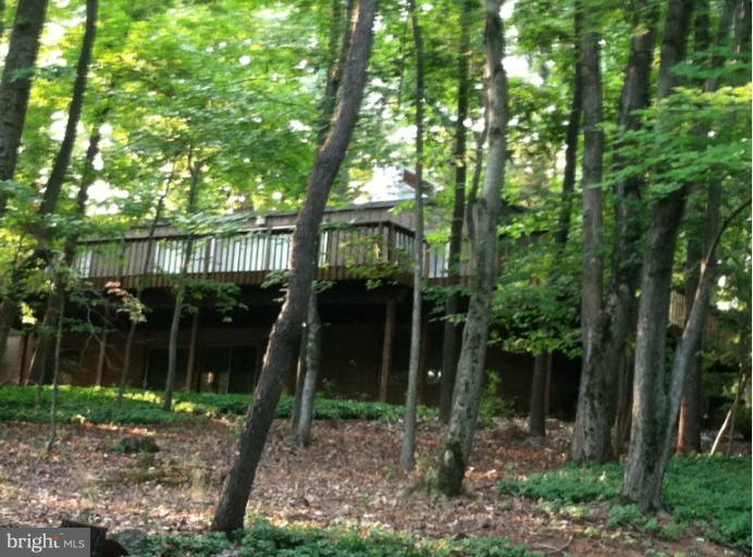 8808 Brook Road McLean, VA 22102 - Photo 3 of 29 Exterior (Rear)