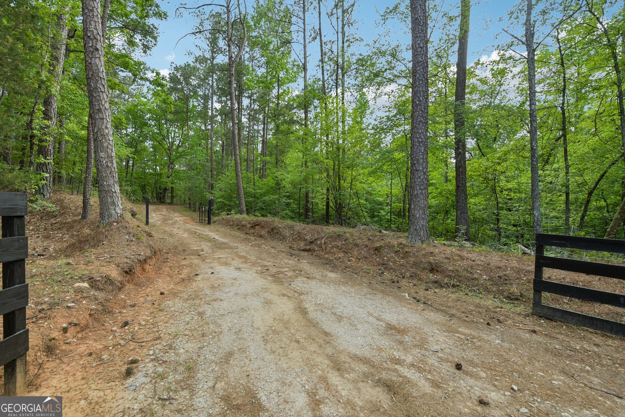 2630 Cold Springs Road Greensboro, GA 30642 - Photo 6 of 28 a view of outdoor space and yard