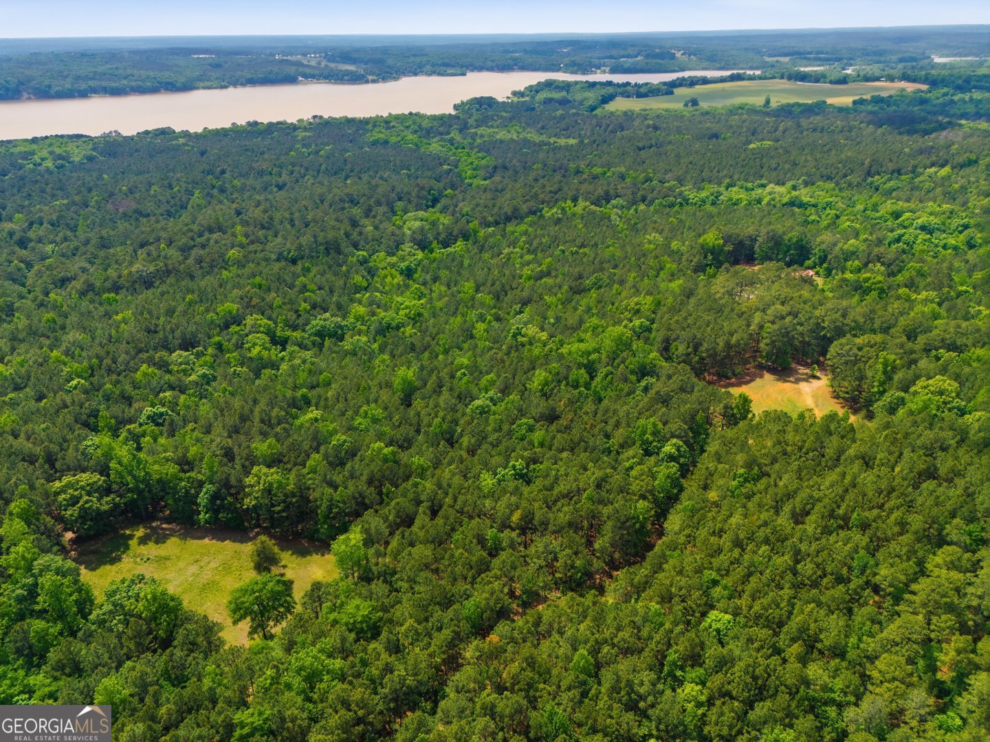 2630 Cold Springs Road Greensboro, GA 30642 - Photo 9 of 10