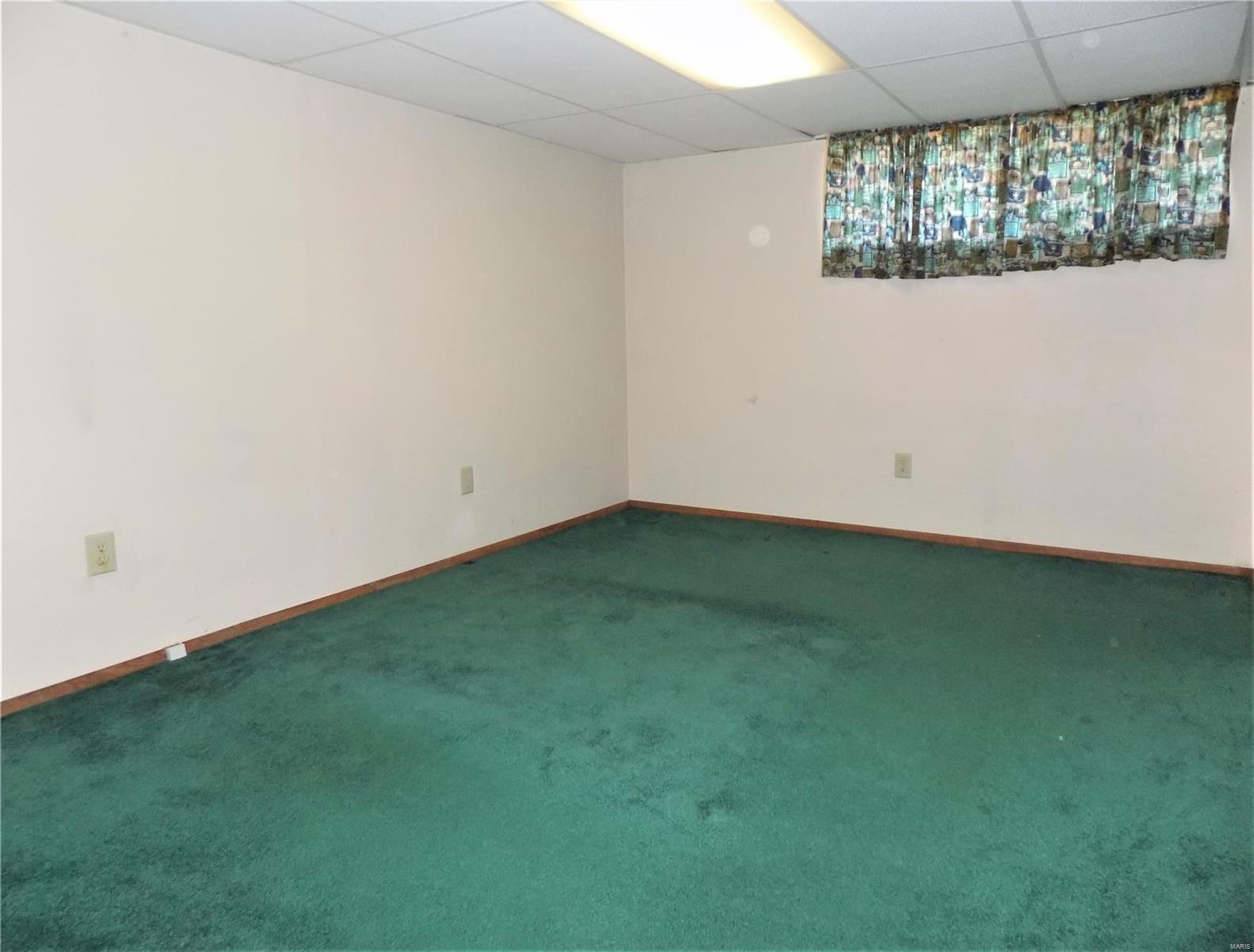4419 Weber Road St. Louis, MO 63123 - Photo 24 of 31