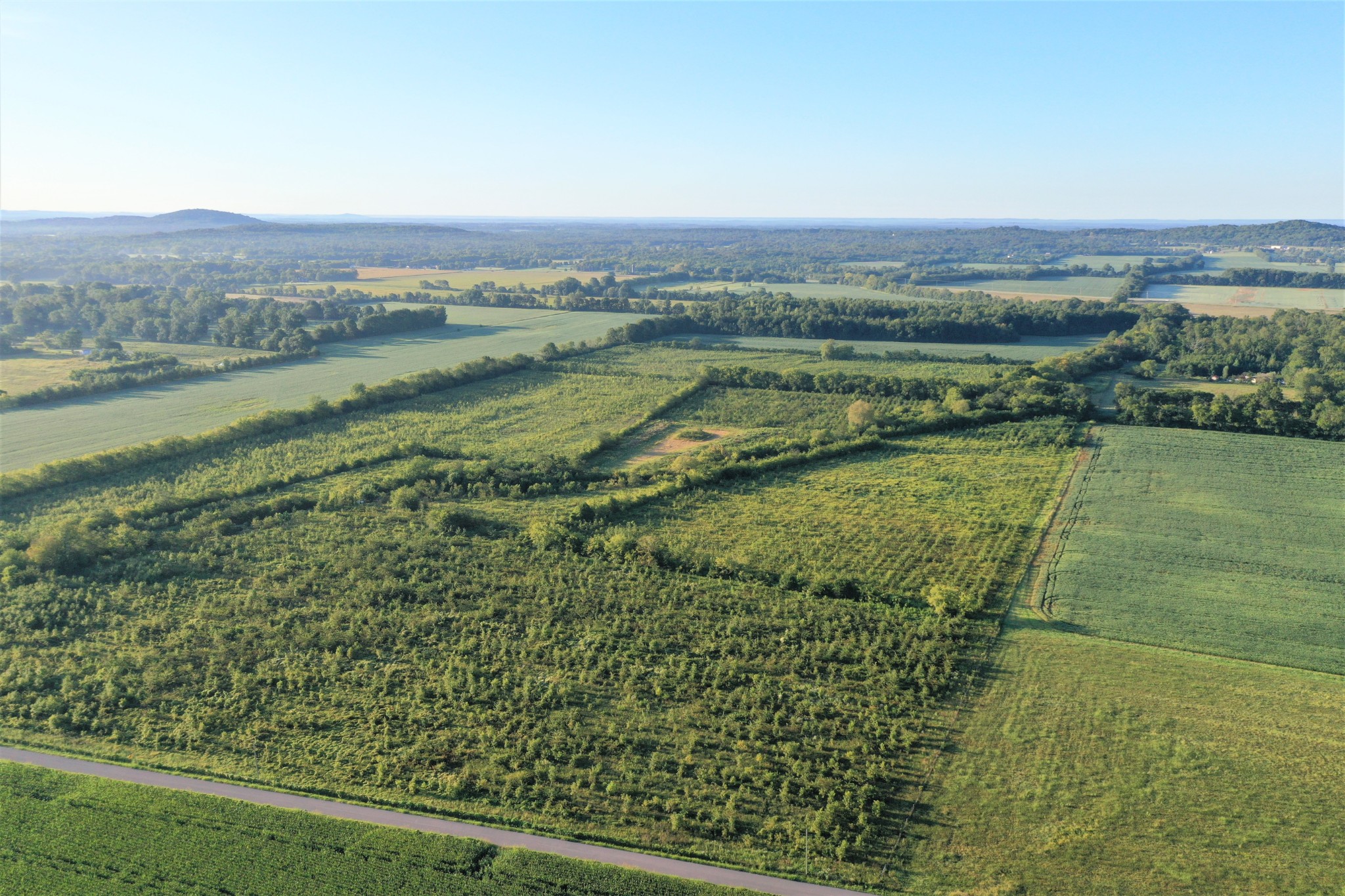 0 Swamp Road Eagleville, TN 37060 - Photo 2 of 9 Gallery Image 2