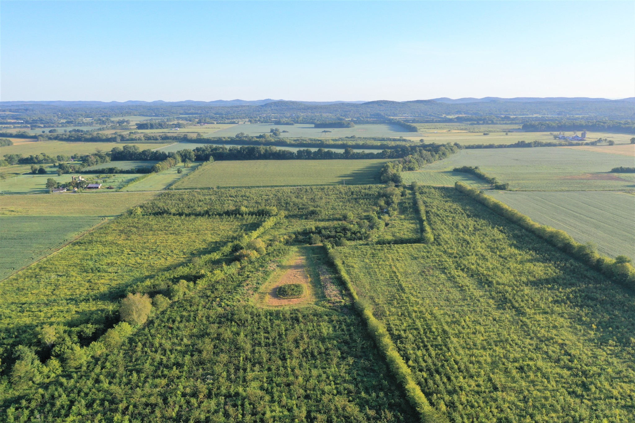 0 Swamp Road Eagleville, TN 37060 - Photo 3 of 9 Gallery Image 3
