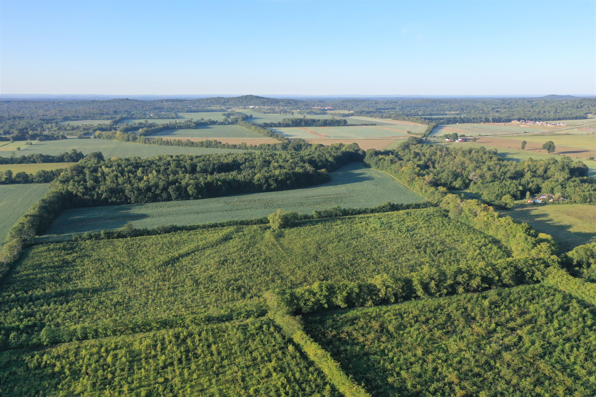 0 Swamp Road Eagleville, TN 37060 - Photo 6 of 9 Gallery Image 6