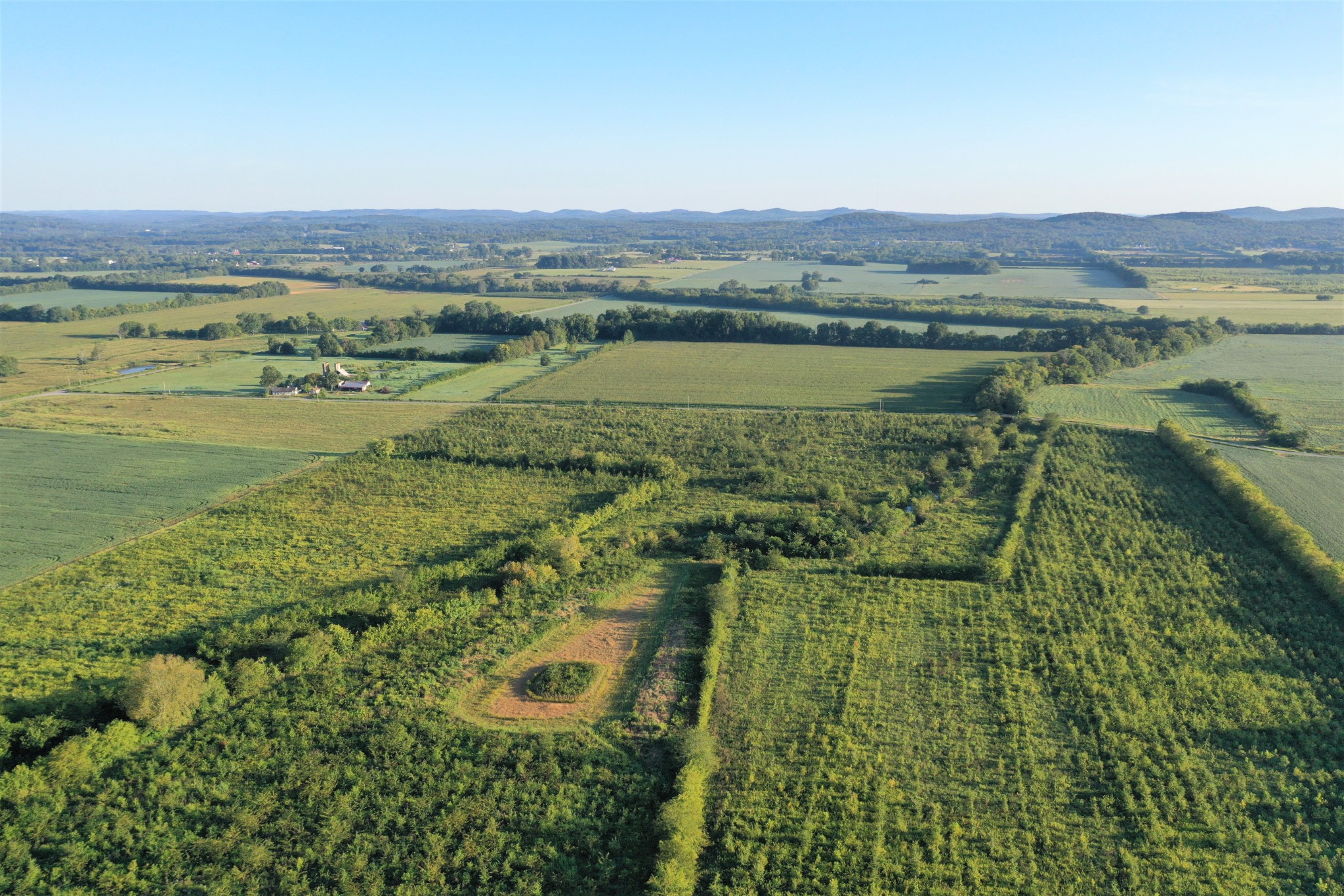 0 Swamp Road Eagleville, TN 37060 - Photo 7 of 9 Gallery Image 7