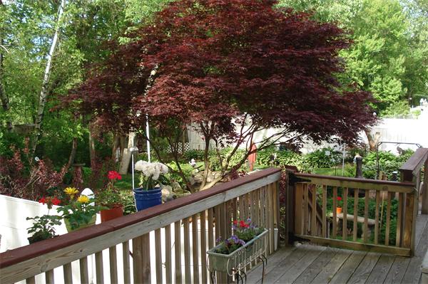 85 Appleton Street Saugus, MA 01906 - Photo 5 of 22 Gallery Image 5