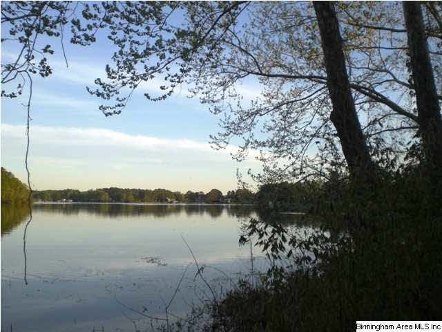 125 Farmstead Road, Unit 20A Wilsonville, AL 35186 - Photo 4 of 4