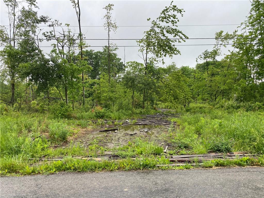 0 Bates Road Jamestown, PA 16134 - Photo 2 of 2