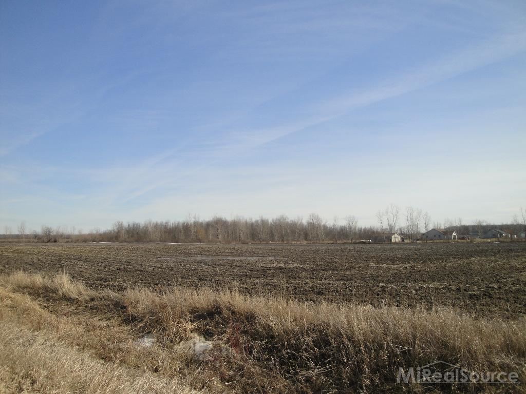0 Bullock Road Brown City, MI 48416 - Photo 1 of 6