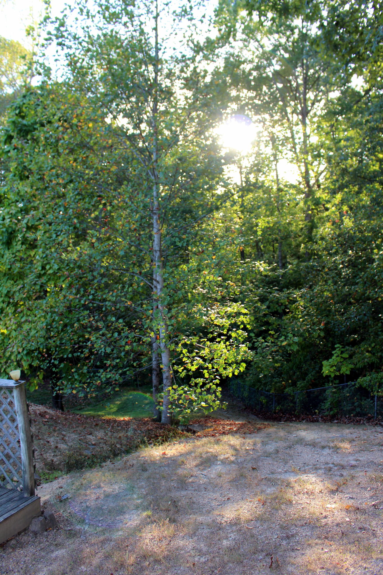 934 Airport Road Oneida, TN 37841 - Photo 14 of 36 IMG_1006