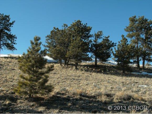 6107 Ranch Road Hartsel, CO 80449 - Photo 1 of 1