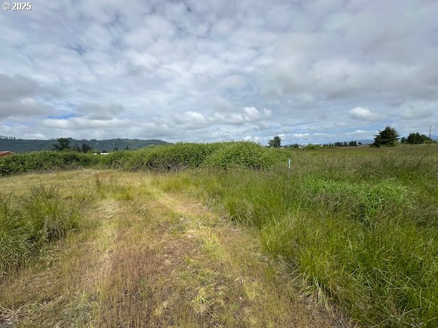 1 Springer Street, Unit 14 Cathlamet, WA 98612 - Photo 1 of 7