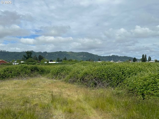 1 Springer Street, Unit 14 Cathlamet, WA 98612 - Photo 2 of 7