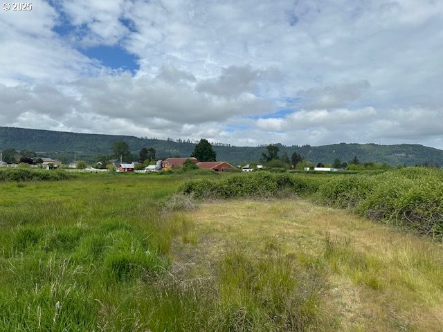 1 Springer Street, Unit 14 Cathlamet, WA 98612 - Photo 3 of 7