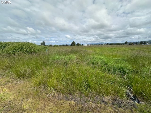 1 Springer Street, Unit 14 Cathlamet, WA 98612 - Photo 4 of 7