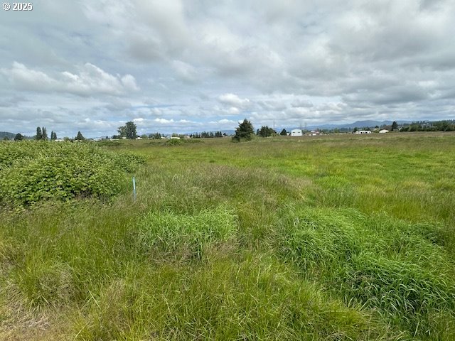 1 Springer Street, Unit 14 Cathlamet, WA 98612 - Photo 5 of 7