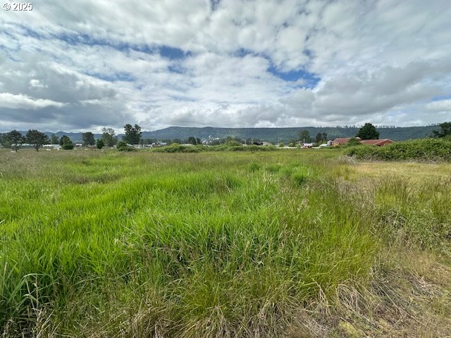 1 Springer Street, Unit 14 Cathlamet, WA 98612 - Photo 6 of 7