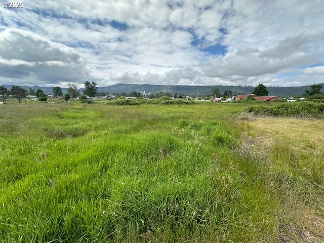 1 Springer Street, Unit 14 Cathlamet, WA 98612 - Photo 7 of 7