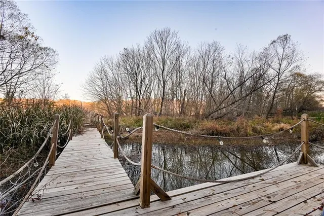 a view of a yard with trees