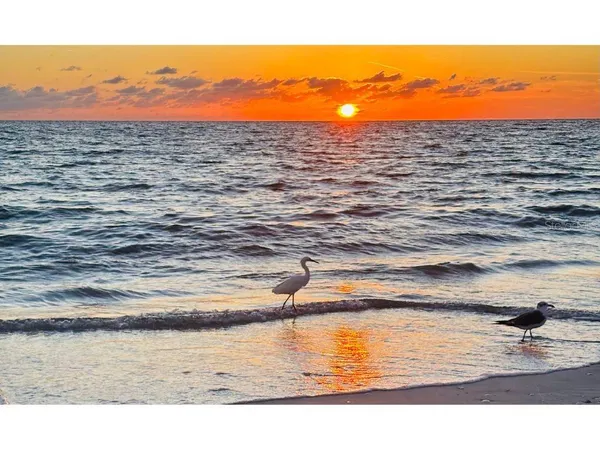 $139,000 | 8306 Little Gasparilla, Boca Grande, FL 33921