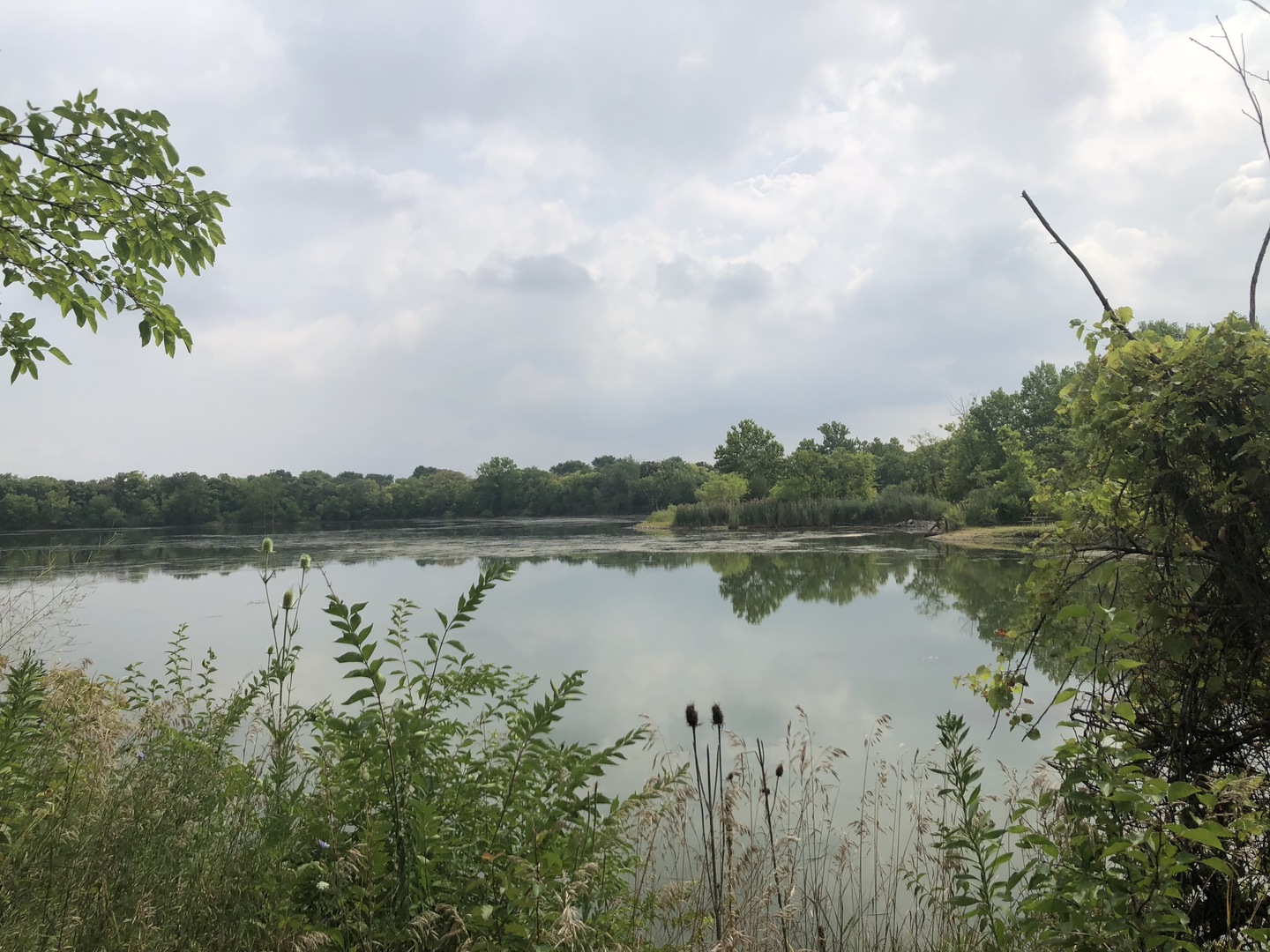 0 South Ford Road Channahon, IL 60410 - Photo 1 of 22 a view of lake