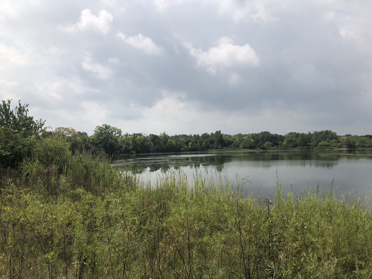 0 South Ford Road Channahon, IL 60410 - Photo 2 of 22 a view of a lake