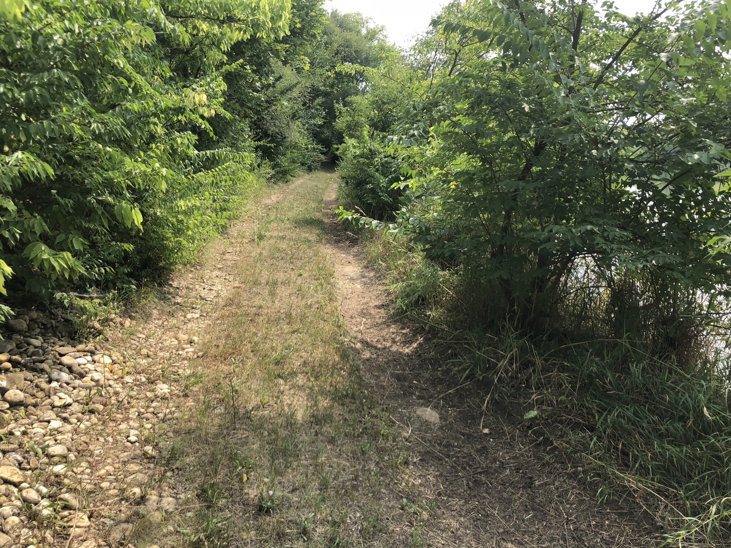 0 South Ford Road Channahon, IL 60410 - Photo 12 of 22 a view of a yard with plants and a tree