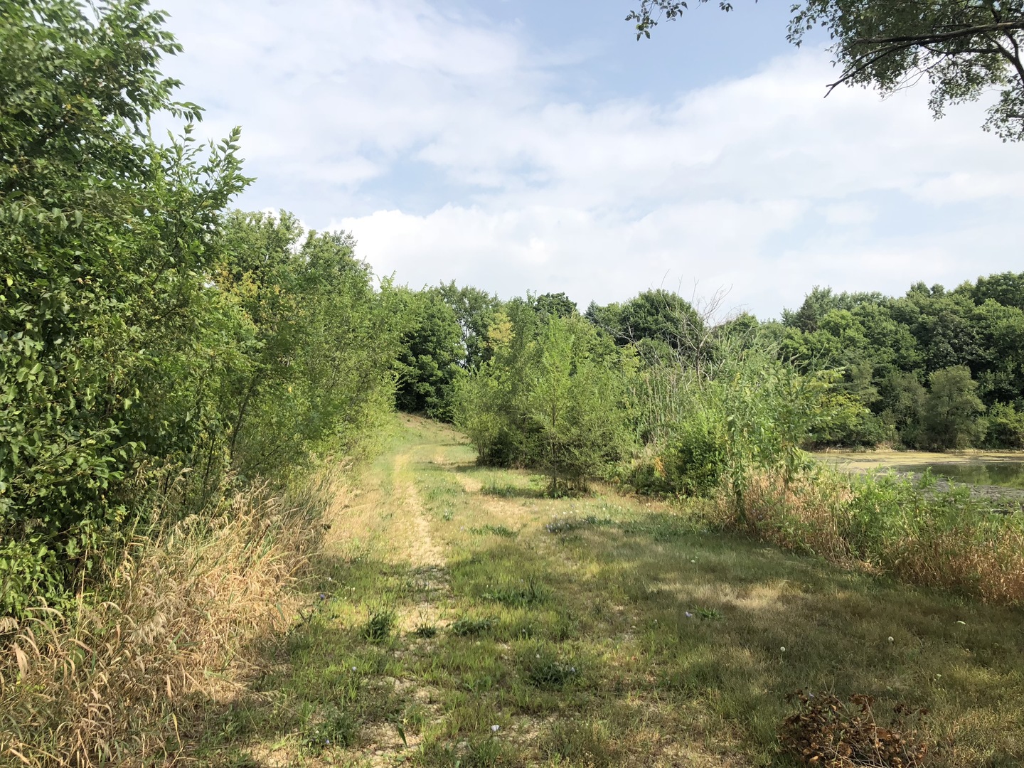 0 South Ford Road Channahon, IL 60410 - Photo 14 of 22 a big yard with lots of green space