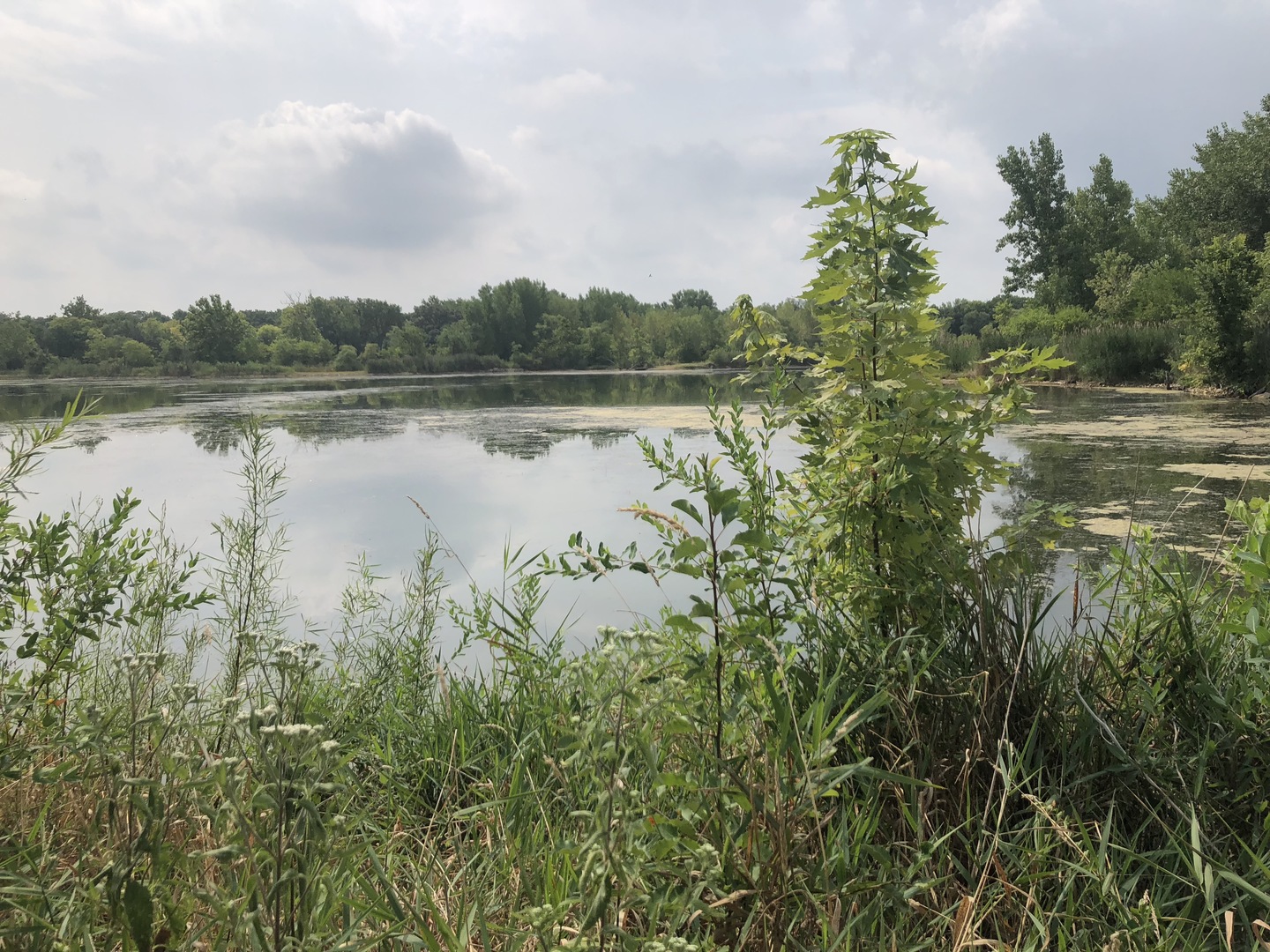 0 South Ford Road Channahon, IL 60410 - Photo 16 of 22 a view of lake with green space