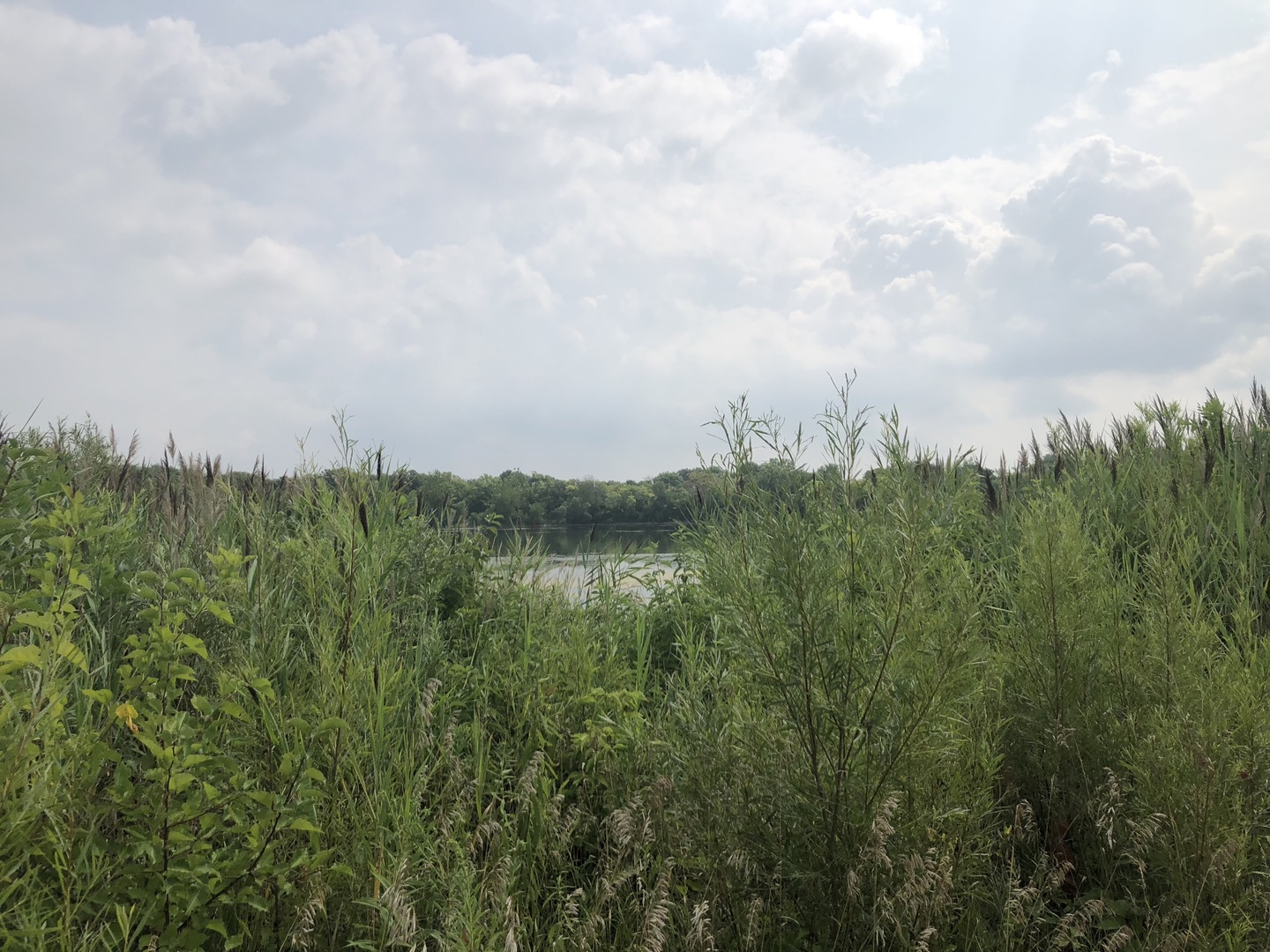 0 South Ford Road Channahon, IL 60410 - Photo 17 of 22 a view of a lake