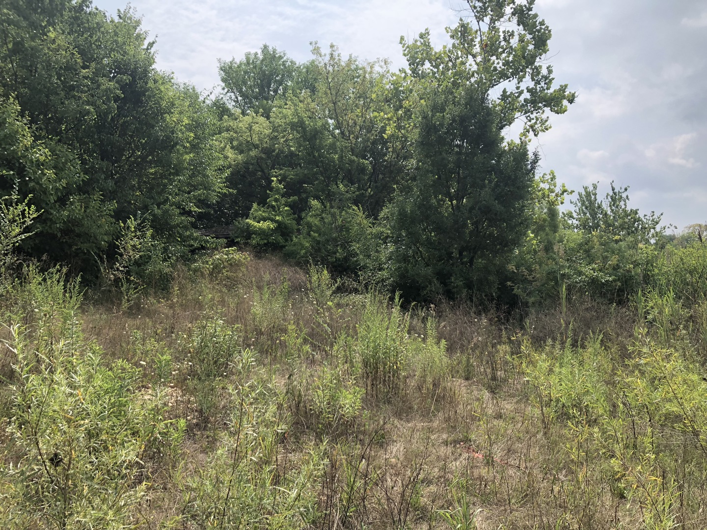 0 South Ford Road Channahon, IL 60410 - Photo 3 of 22 a view of a lush green forest next to a lake