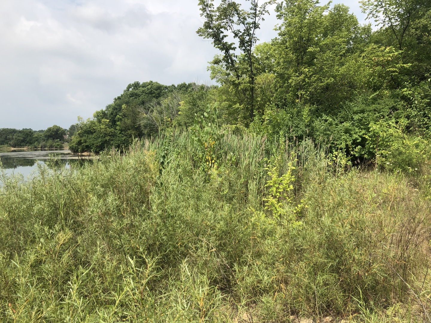 0 South Ford Road Channahon, IL 60410 - Photo 4 of 22 a view of a lake with top of house