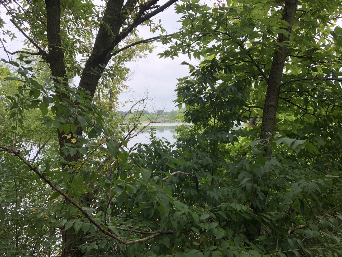 0 South Ford Road Channahon, IL 60410 - Photo 5 of 22 a view of a tree in a garden