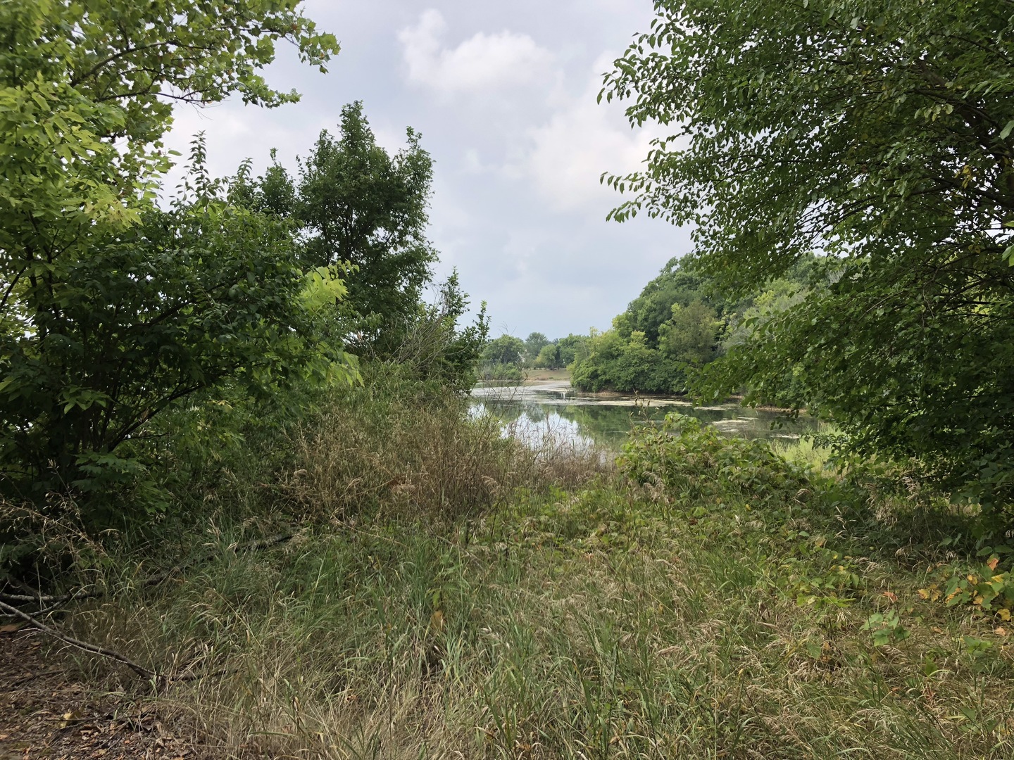0 South Ford Road Channahon, IL 60410 - Photo 7 of 22 a view of lake with green space