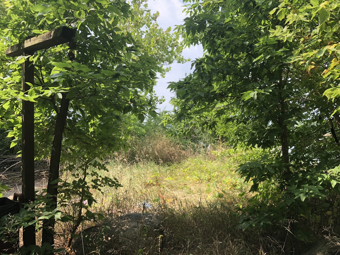 0 South Ford Road Channahon, IL 60410 - Photo 8 of 22 a view of a tree