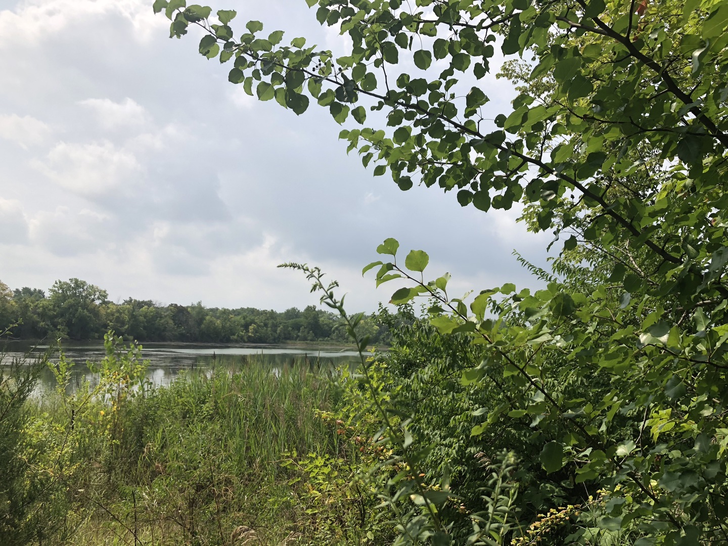 0 South Ford Road Channahon, IL 60410 - Photo 10 of 22 a backyard of a house with lots of green space and lake view