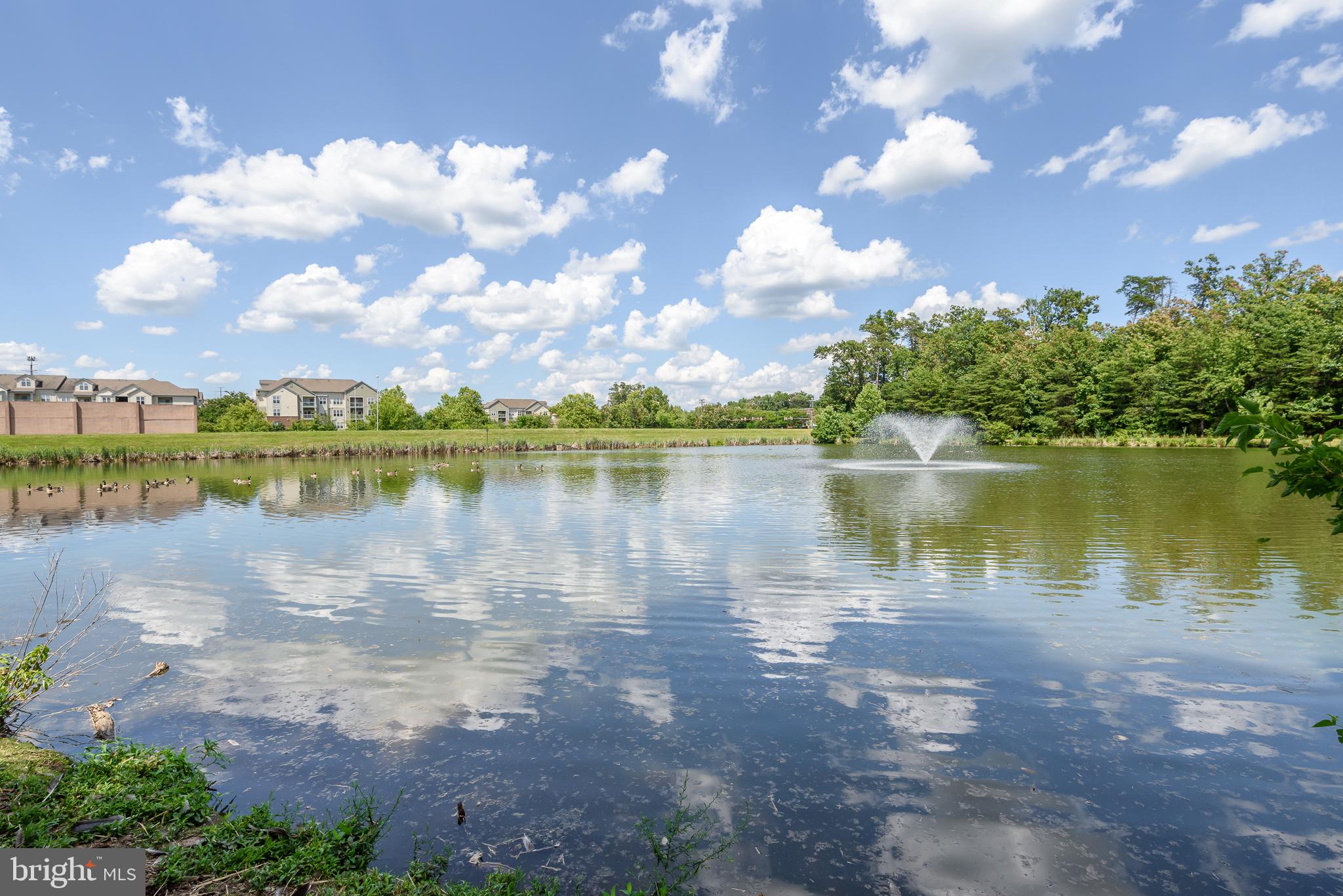1712 Lake Shore Crest Drive, Unit 13 Reston, VA 20190 - Photo 28 of 30