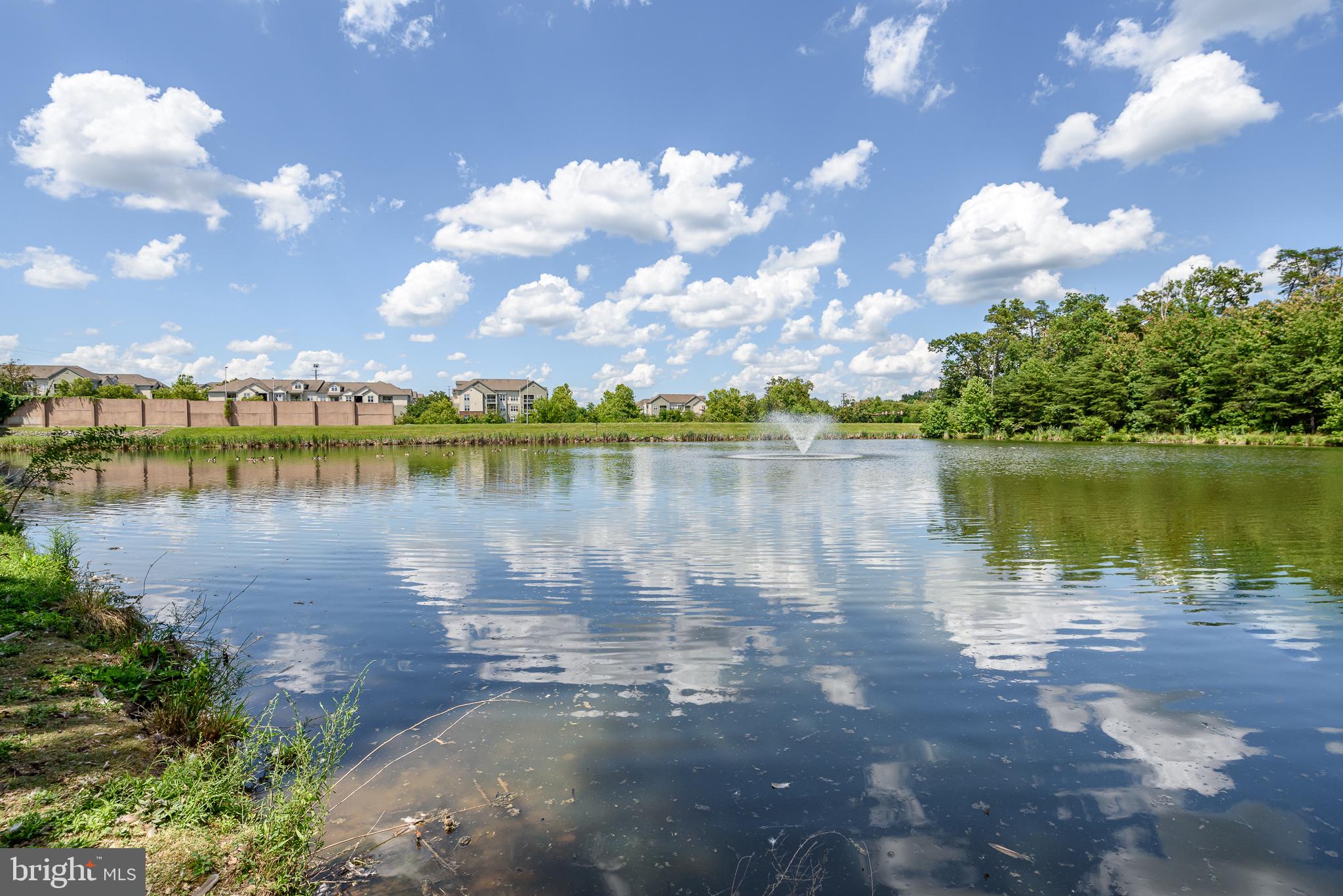 1712 Lake Shore Crest Drive, Unit 13 Reston, VA 20190 - Photo 30 of 30