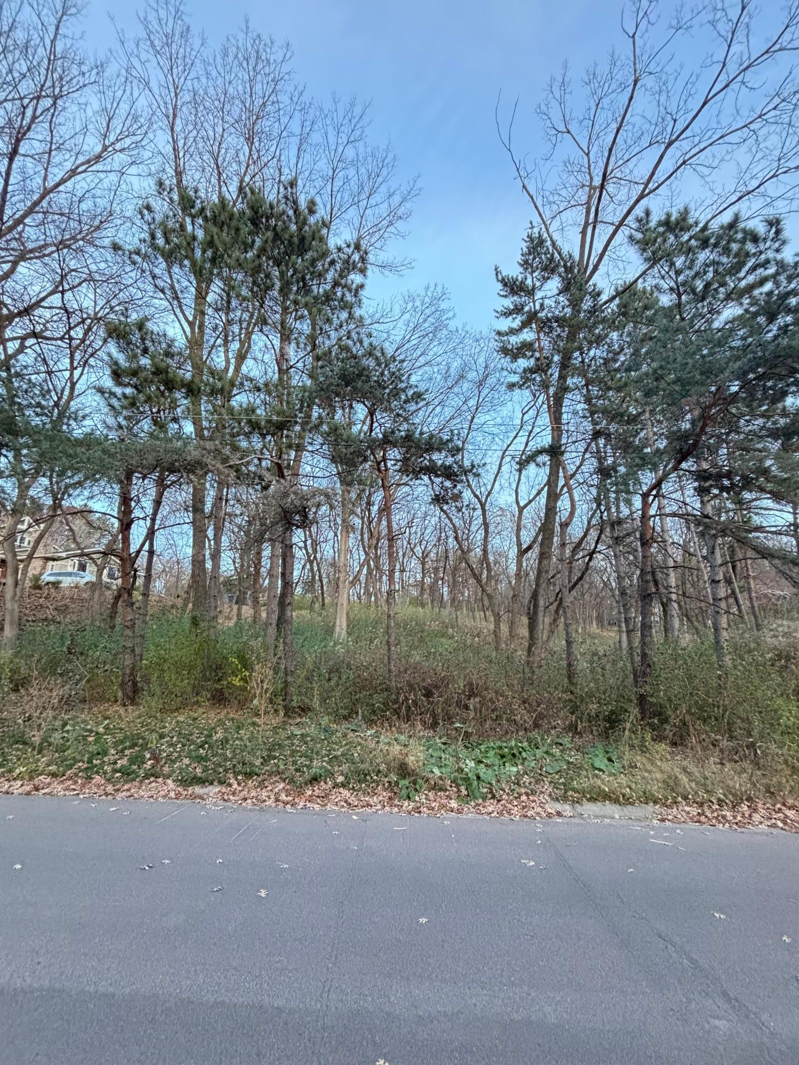 12786 Denmark Avenue Apple Valley, MN 55124 - Photo 3 of 6