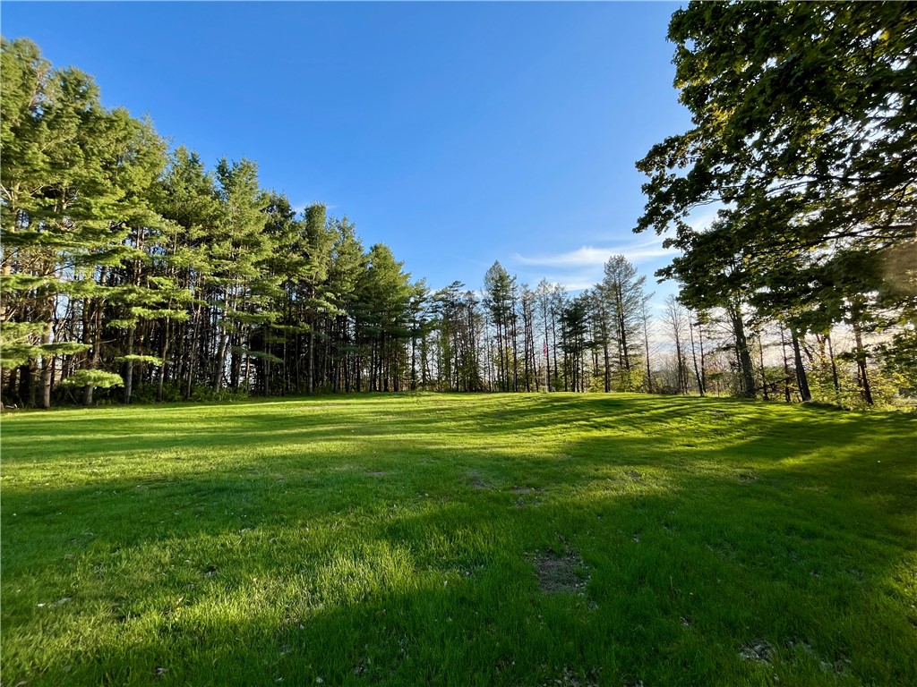 558 Sterling Station Road Sterling, NY 13143 - Photo 4 of 45