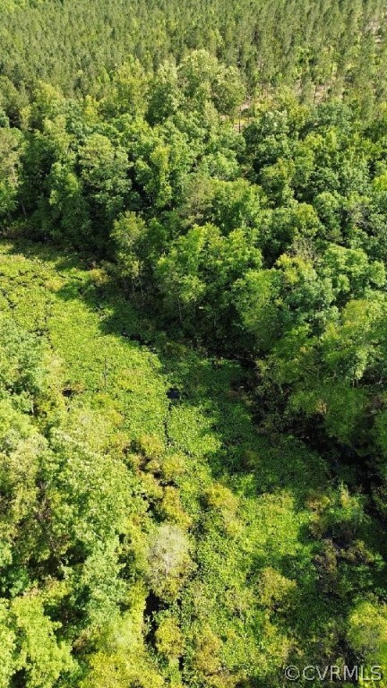 -tbd Kidds Fork Road Milford, VA 22514 - Photo 11 of 12 View of nature