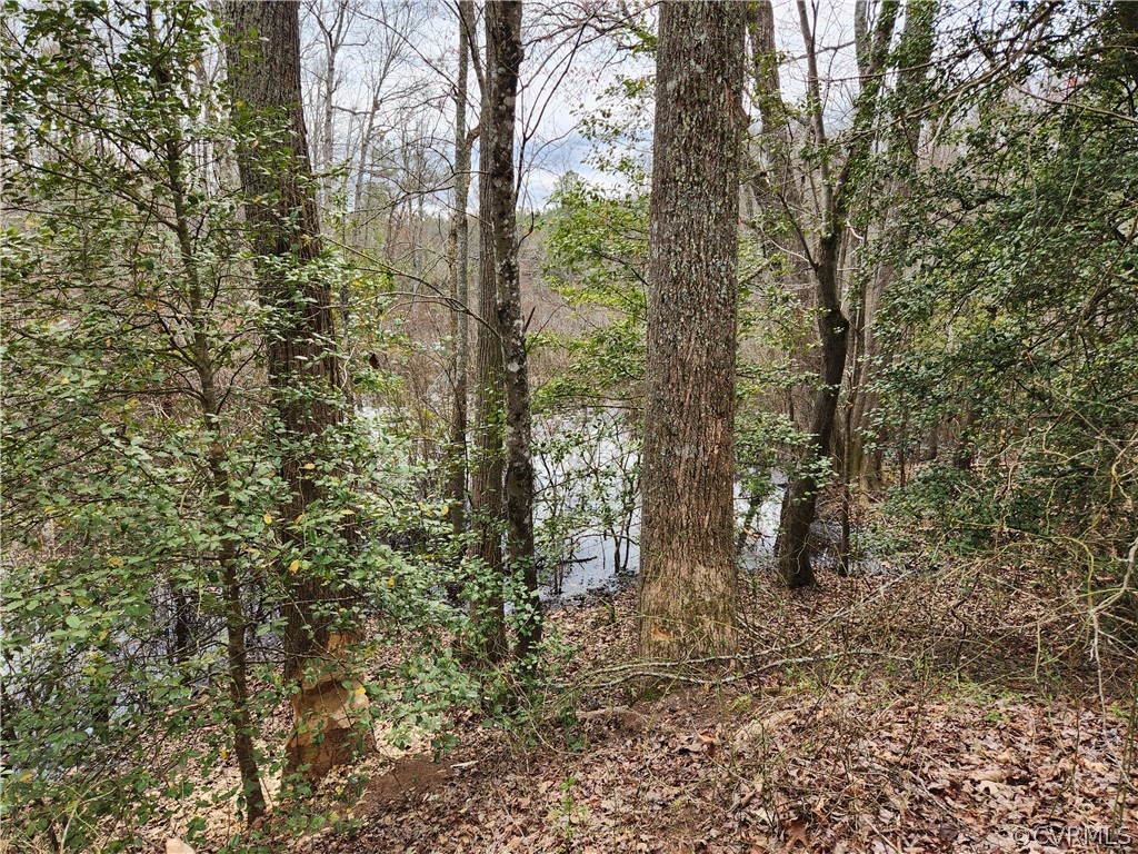 View of Tanyard Swamp