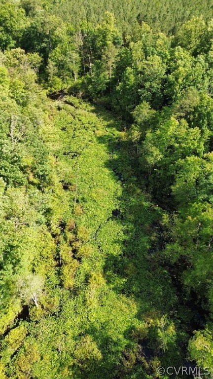 -tbd Kidds Fork Road Milford, VA 22514 - Photo 10 of 12 View of Tanyard Swamp