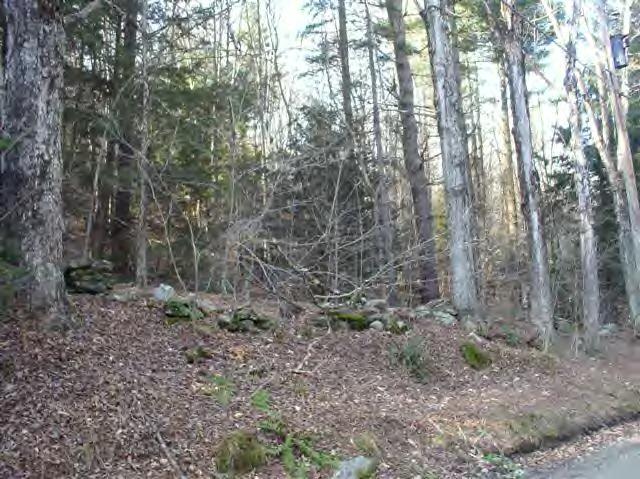 Schoolhouse Road Windsor, MA 01270 - Photo 1 of 1 Primary Photo